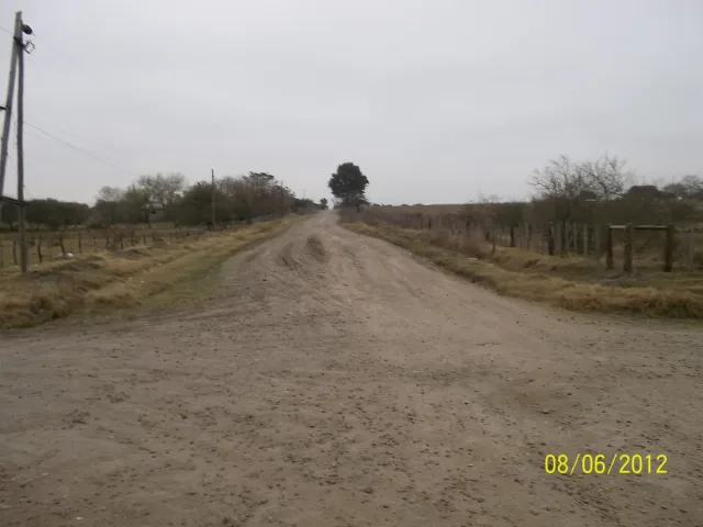 Imagen de Sauce (Departamento Sauce)