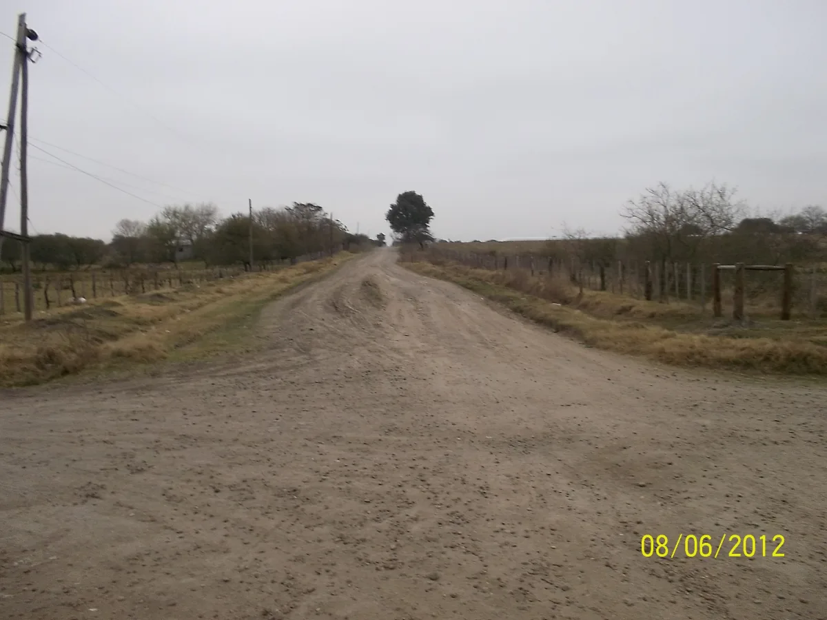 Imagen de Sauce (Departamento Sauce)