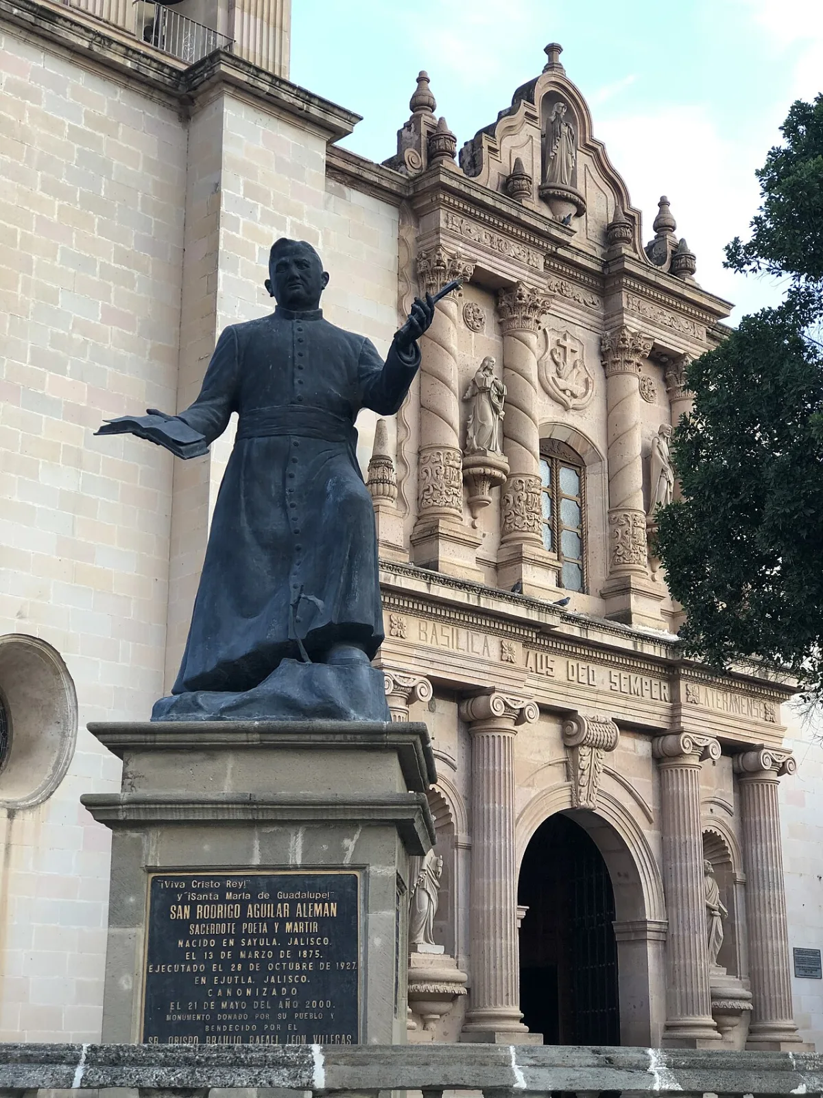Imagen de Sayula (Municipio de Sayula)