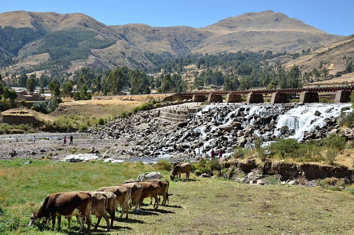 Imagen de Sicuani (Departamento de Cusco)