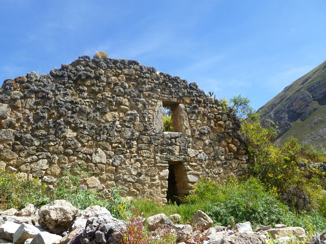 Imagen de Tarma (Tarma)