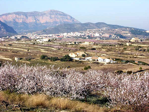 Imagen de Teulada (Marina Alta)