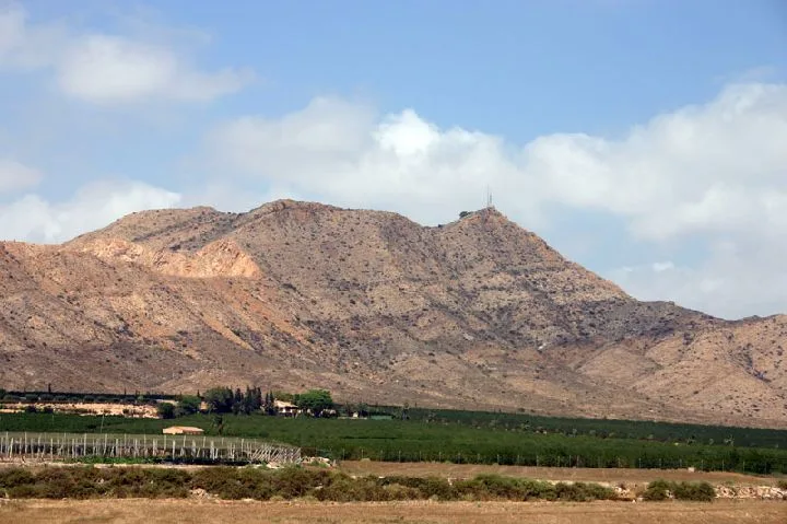 Imagen de Torre Pacheco (Región de Murcia)