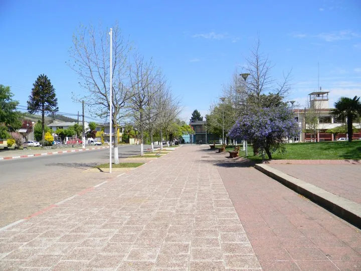 Imagen de Traiguén (Malleco)