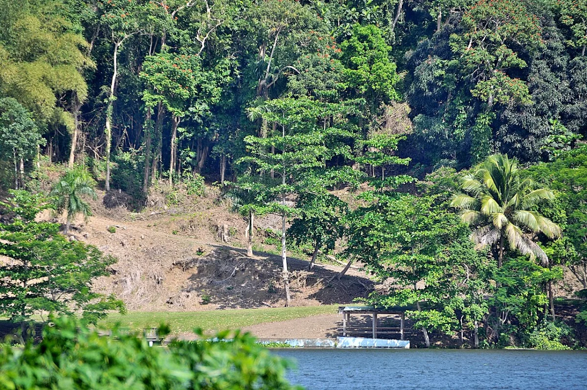 Imagen de Trujillo Alto (Puerto Rico)