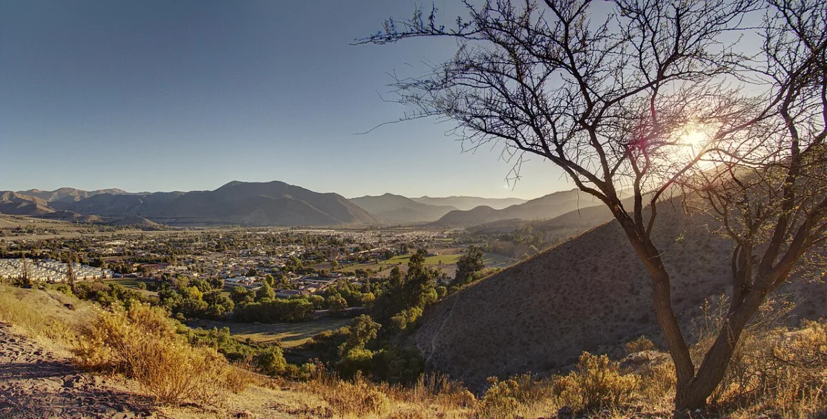 Imagen de Vicuña (Elqui)