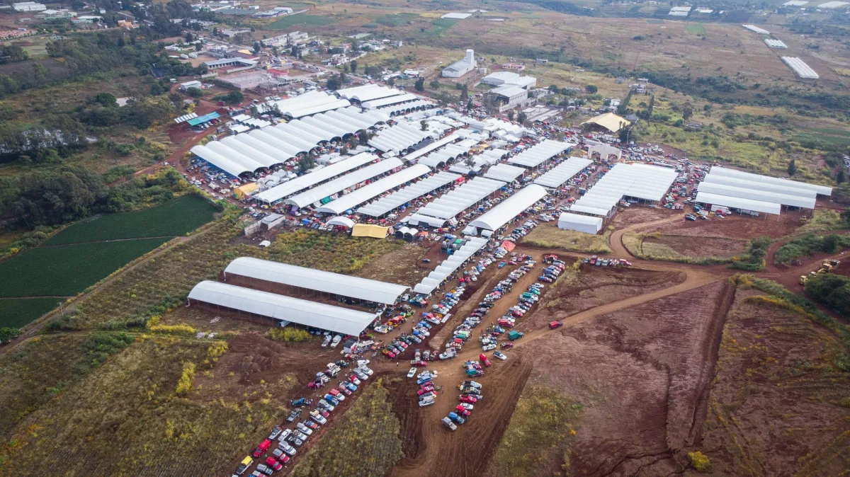 Imagen de Villa Guerrero (Municipio de Villa Guerrero)