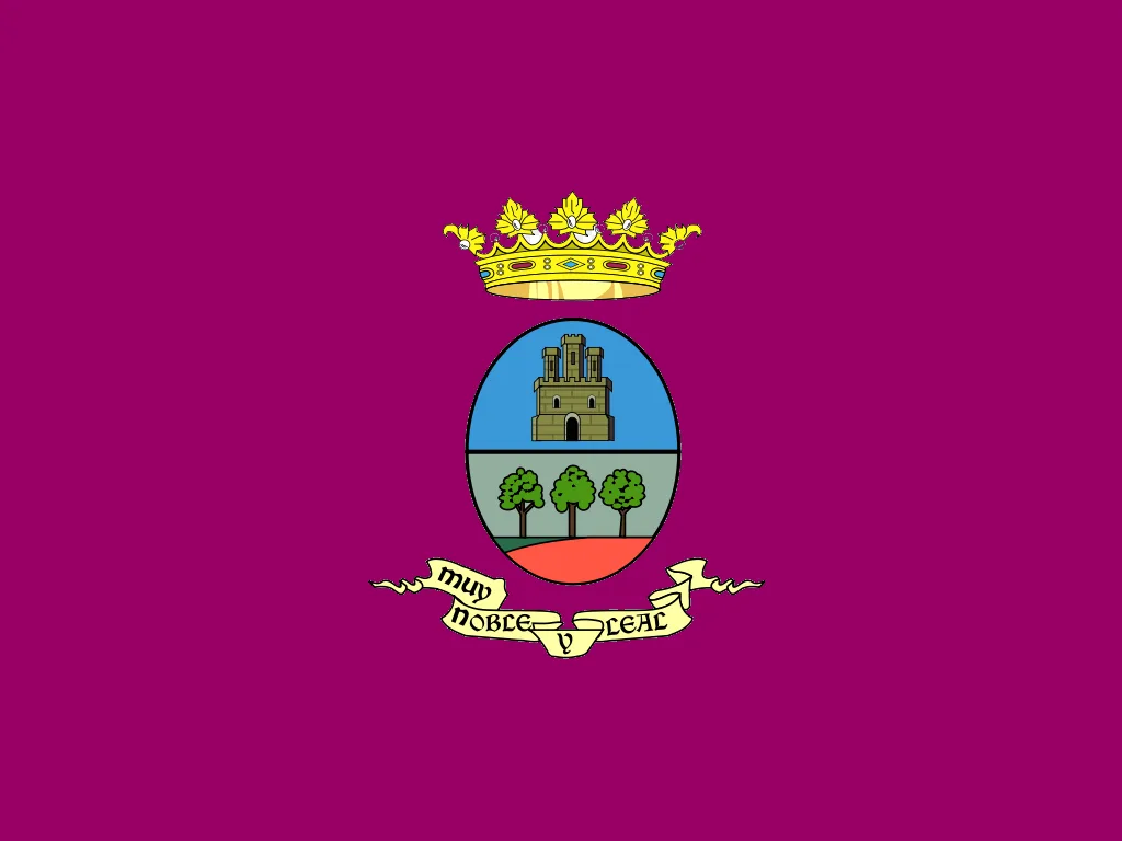 Imagen de Villarrobledo (provincia de Albacete)