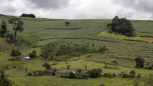 Imagen de Yarula (Departamento de La Paz)