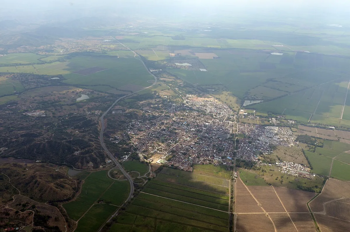 Imagen de Zarzal (Región del Pacífico)